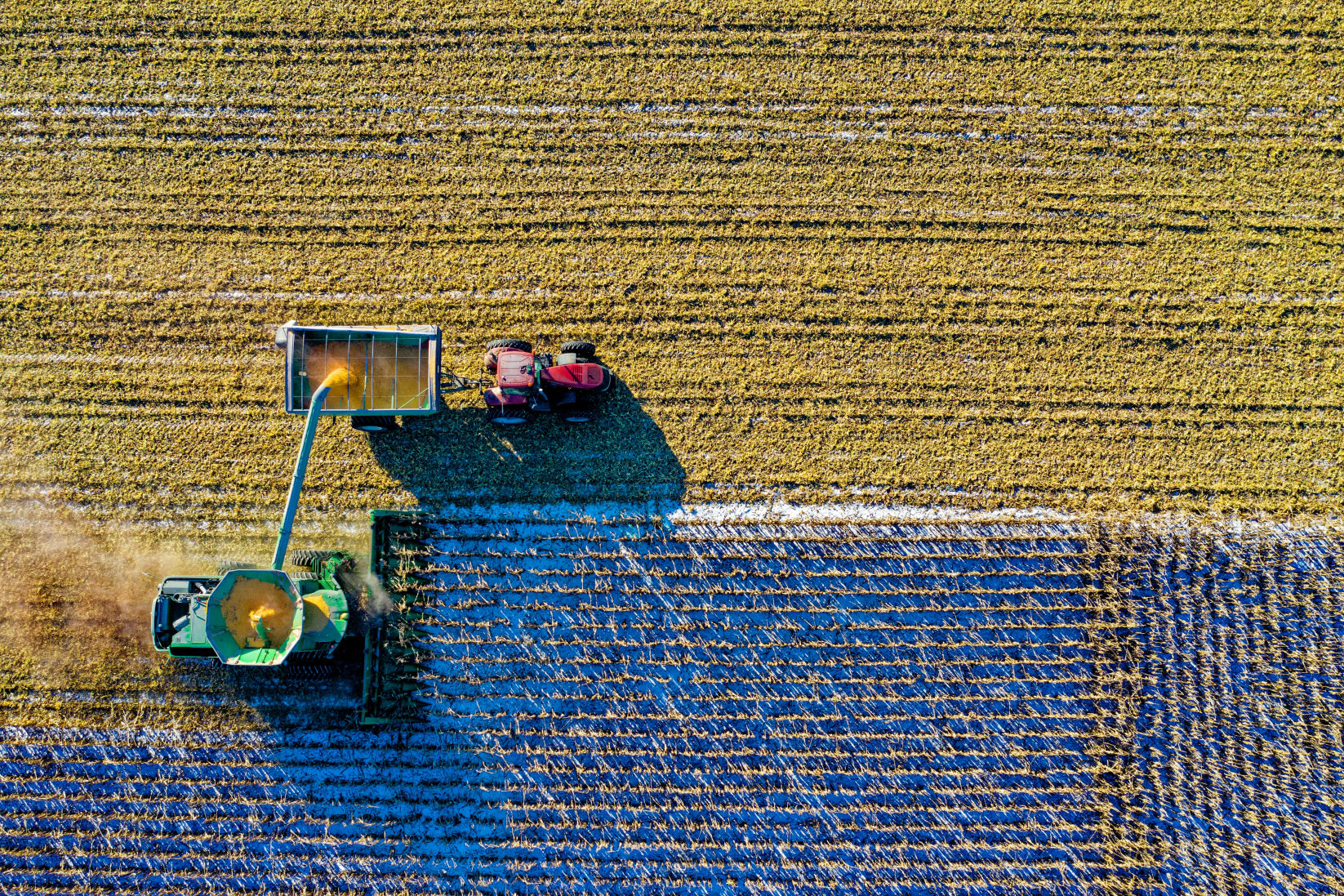 Corn Picking Fertilizer Phosphate Rock